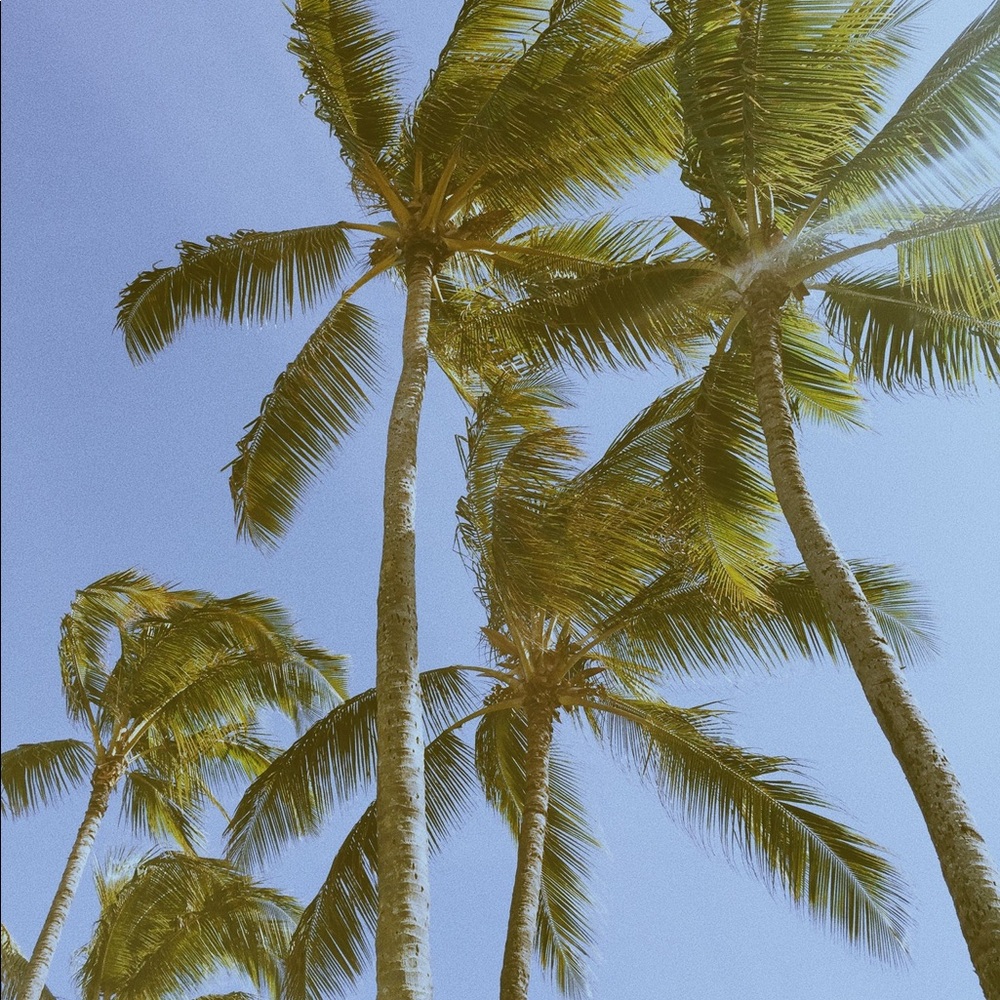 Meet your Posher, Maddy